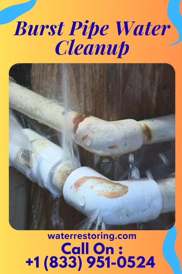 Burst Pipe Water Cleanup in Irvona, PA