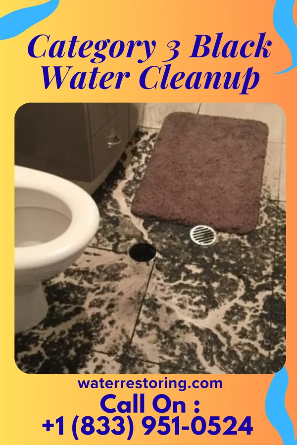 Category 3 Black Water Cleanup in Irvona, PA