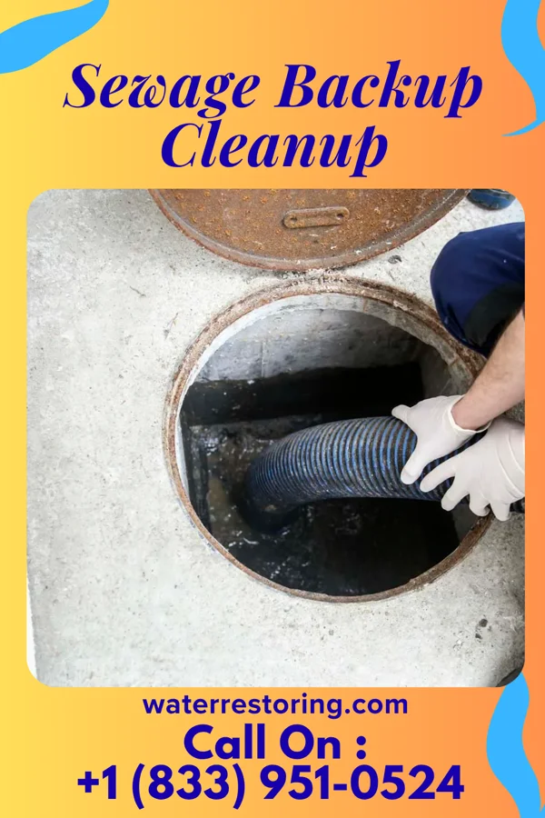 Sewage Backup Cleanup in Irvona, PA