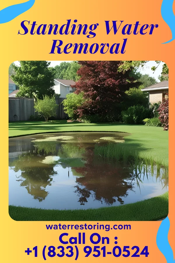 Standing Water Removal in Irvona, PA